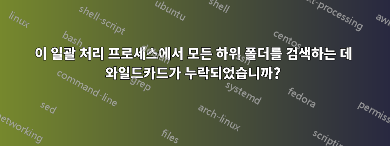 이 일괄 처리 프로세스에서 모든 하위 폴더를 검색하는 데 와일드카드가 누락되었습니까?