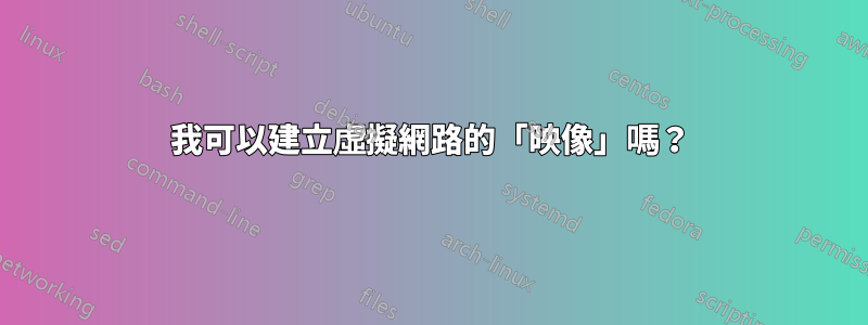 我可以建立虛擬網路的「映像」嗎？