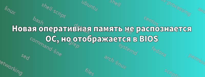 Новая оперативная память не распознается ОС, но отображается в BIOS