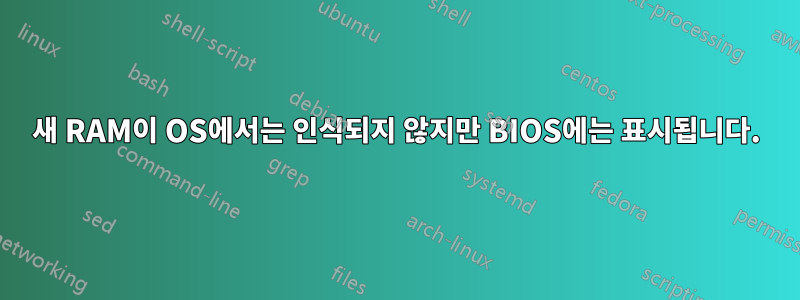 새 RAM이 OS에서는 인식되지 않지만 BIOS에는 표시됩니다.