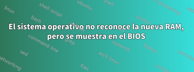 El sistema operativo no reconoce la nueva RAM, pero se muestra en el BIOS