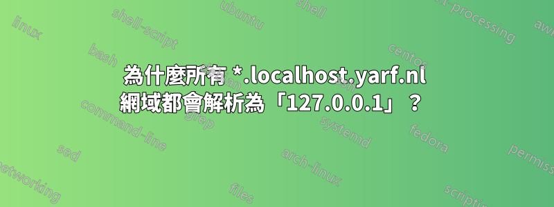 為什麼所有 *.localhost.yarf.nl 網域都會解析為「127.0.0.1」？ 