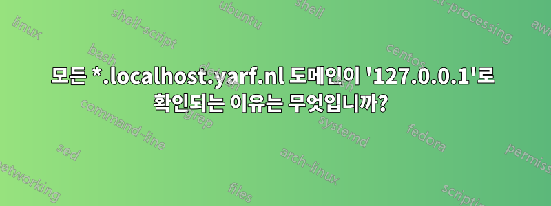 모든 *.localhost.yarf.nl 도메인이 '127.0.0.1'로 확인되는 이유는 무엇입니까? 