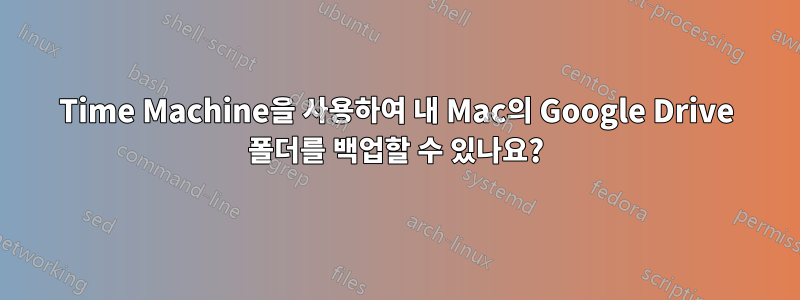 Time Machine을 사용하여 내 Mac의 Google Drive 폴더를 백업할 수 있나요?