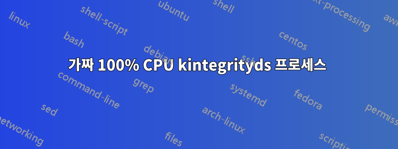 가짜 100% CPU kintegrityds 프로세스