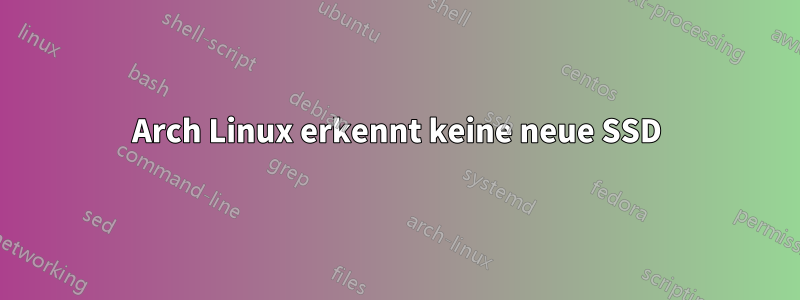 Arch Linux erkennt keine neue SSD