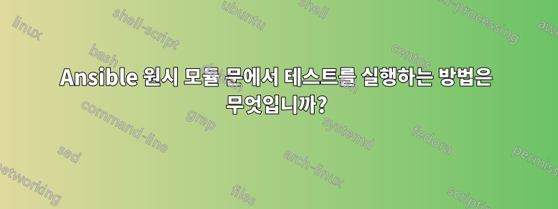 Ansible 원시 모듈 문에서 테스트를 실행하는 방법은 무엇입니까?