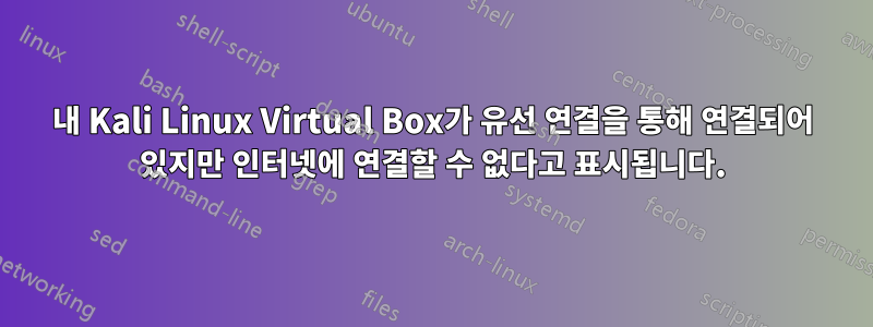 내 Kali Linux Virtual Box가 유선 연결을 통해 연결되어 있지만 인터넷에 연결할 수 없다고 표시됩니다.