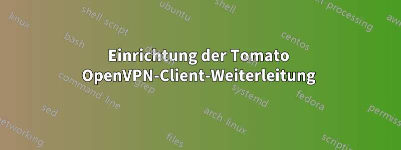 Einrichtung der Tomato OpenVPN-Client-Weiterleitung