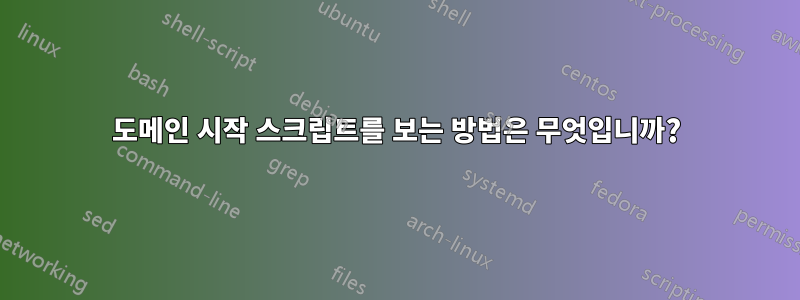 도메인 시작 스크립트를 보는 방법은 무엇입니까?