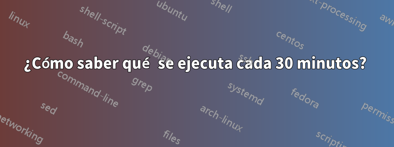 ¿Cómo saber qué se ejecuta cada 30 minutos?