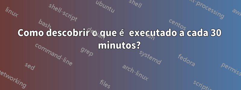 Como descobrir o que é executado a cada 30 minutos?