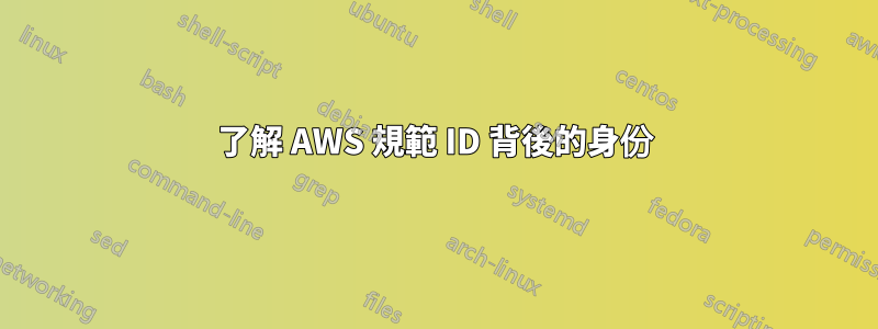 了解 AWS 規範 ID 背後的身份