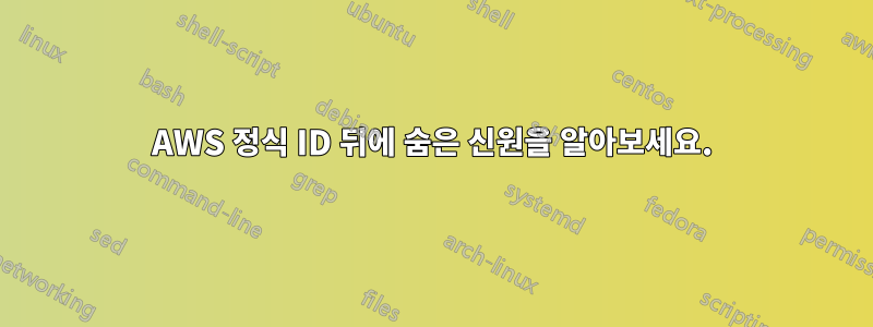 AWS 정식 ID 뒤에 숨은 신원을 알아보세요.