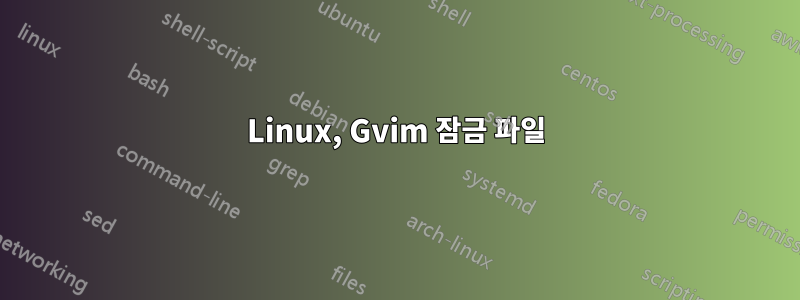 Linux, Gvim 잠금 파일