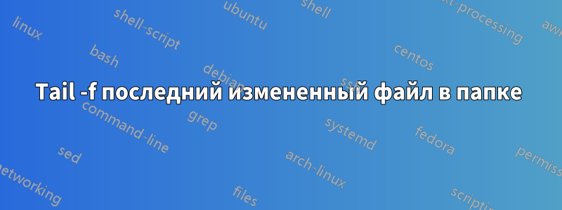 Tail -f последний измененный файл в папке