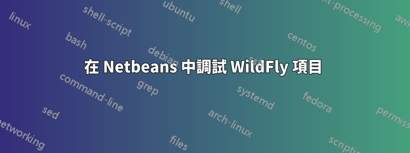 在 Netbeans 中調試 WildFly 項目