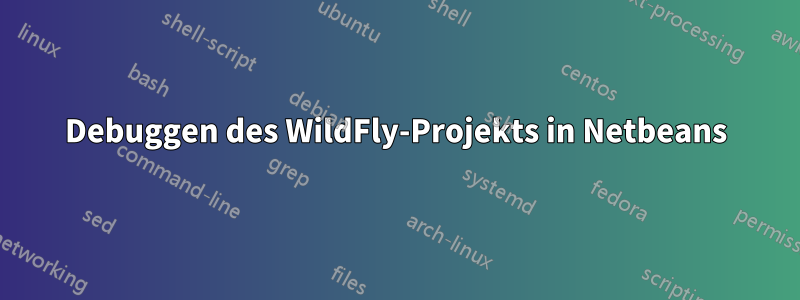 Debuggen des WildFly-Projekts in Netbeans