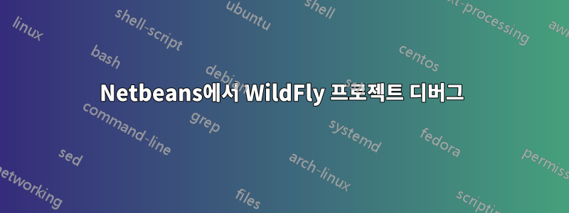 Netbeans에서 WildFly 프로젝트 디버그