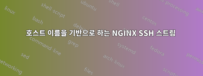 호스트 이름을 기반으로 하는 NGINX SSH 스트림