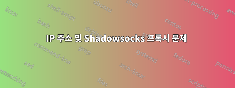 IP 주소 및 Shadowsocks 프록시 문제