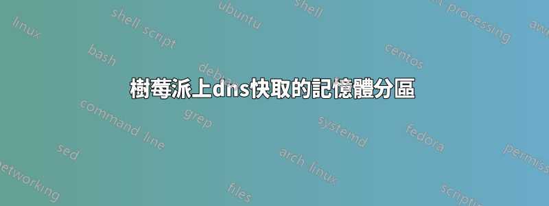 樹莓派上dns快取的記憶體分區