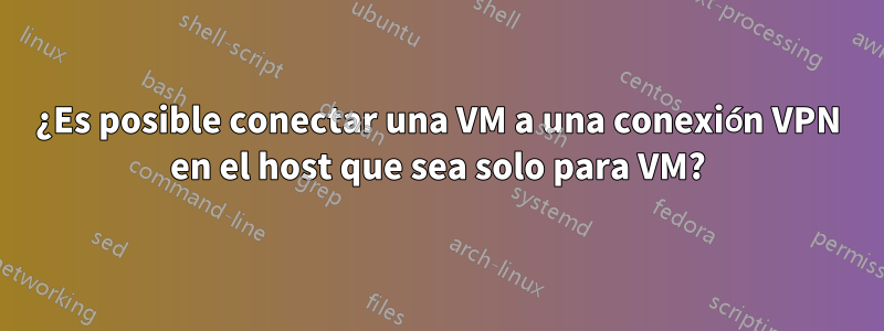 ¿Es posible conectar una VM a una conexión VPN en el host que sea solo para VM?