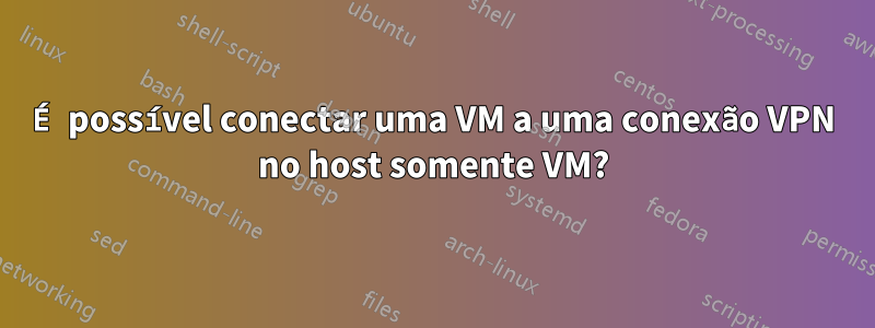 É possível conectar uma VM a uma conexão VPN no host somente VM?