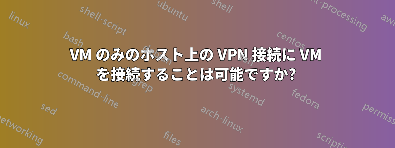 VM のみのホスト上の VPN 接続に VM を接続することは可能ですか?