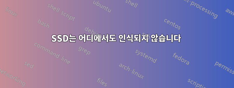 SSD는 어디에서도 인식되지 않습니다