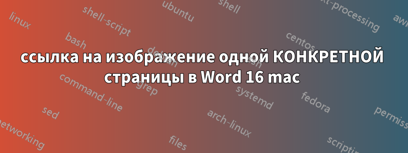 ссылка на изображение одной КОНКРЕТНОЙ страницы в Word 16 mac