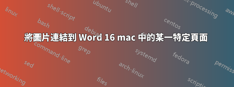 將圖片連結到 Word 16 mac 中的某一特定頁面