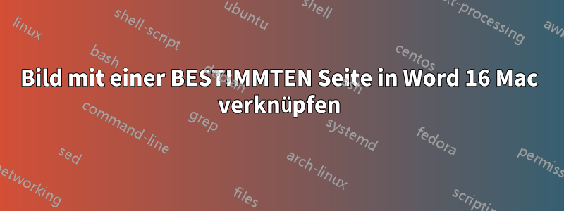 Bild mit einer BESTIMMTEN Seite in Word 16 Mac verknüpfen