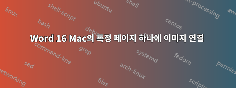 Word 16 Mac의 특정 페이지 하나에 이미지 연결