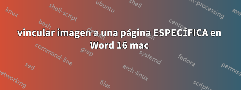 vincular imagen a una página ESPECÍFICA en Word 16 mac