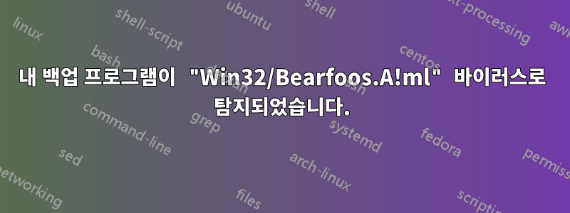 내 백업 프로그램이 "Win32/Bearfoos.A!ml" 바이러스로 탐지되었습니다.