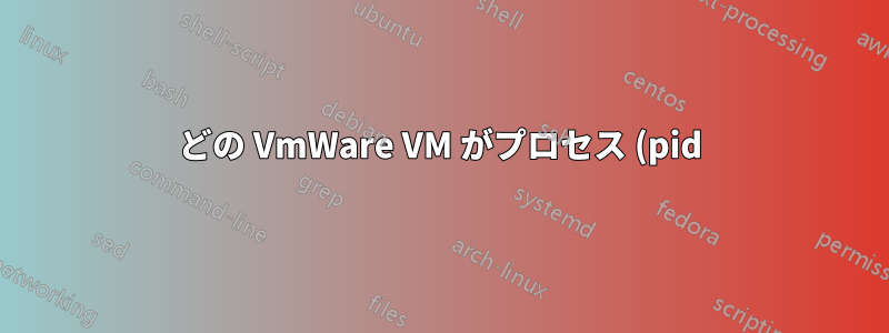 どの VmWare VM がプロセス (pid) (Windows ホスト上) に関連付けられていますか?