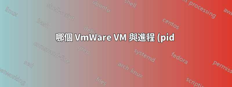 哪個 VmWare VM 與進程 (pid)(在 Windows 主機上)關聯?