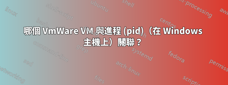 哪個 VmWare VM 與進程 (pid)（在 Windows 主機上）關聯？