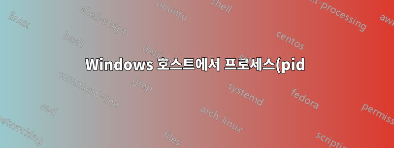 Windows 호스트에서 프로세스(pid)와 연결된 VmWare VM은 무엇입니까?