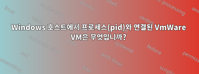 Windows 호스트에서 프로세스(pid)와 연결된 VmWare VM은 무엇입니까?