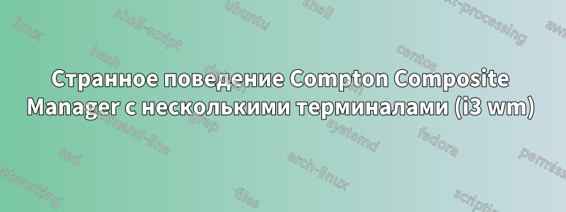 Странное поведение Compton Composite Manager с несколькими терминалами (i3 wm)