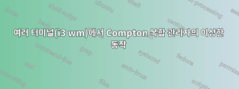 여러 터미널(i3 wm)에서 Compton 복합 관리자의 이상한 동작