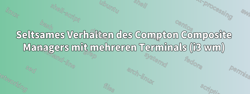 Seltsames Verhalten des Compton Composite Managers mit mehreren Terminals (i3 wm)