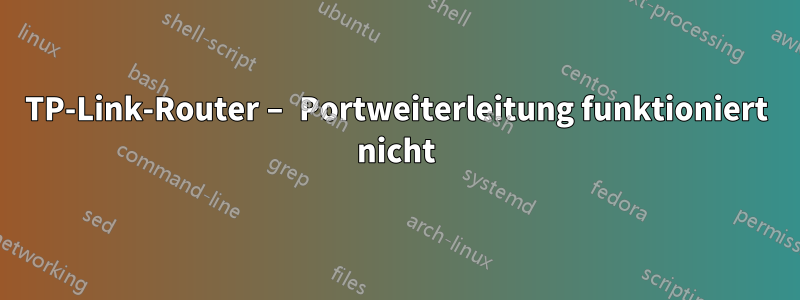 TP-Link-Router – Portweiterleitung funktioniert nicht