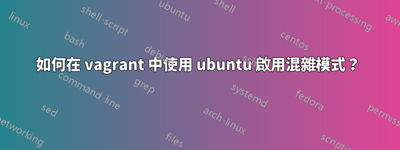 如何在 vagrant 中使用 ubuntu 啟用混雜模式？