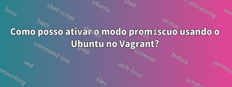 Como posso ativar o modo promíscuo usando o Ubuntu no Vagrant?