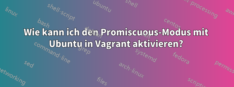 Wie kann ich den Promiscuous-Modus mit Ubuntu in Vagrant aktivieren?