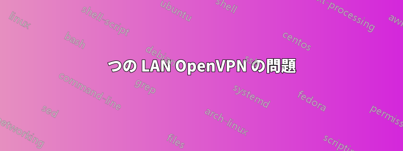 2 つの LAN OpenVPN の問題