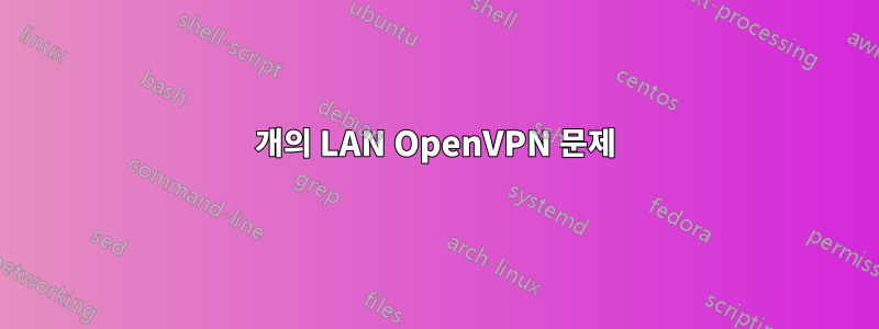 2개의 LAN OpenVPN 문제